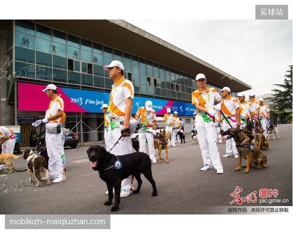 北美体育场馆安检分流系统如何实现场外动态入场预演闭环